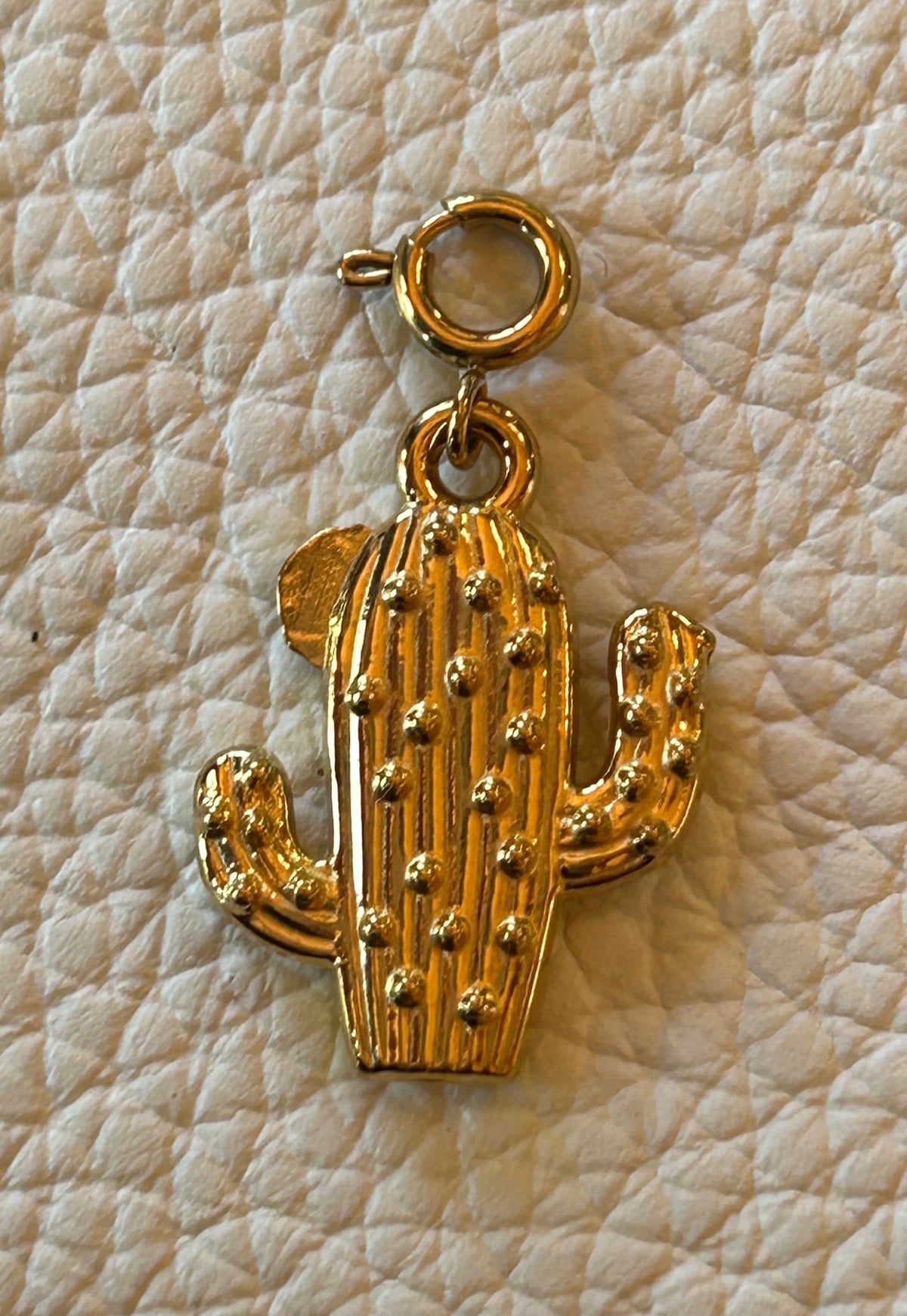 The Desert Cactus 🌵 | Stellina Charm World