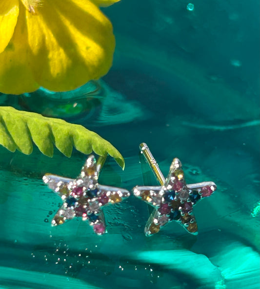 Candy Seastar Silver Earrings