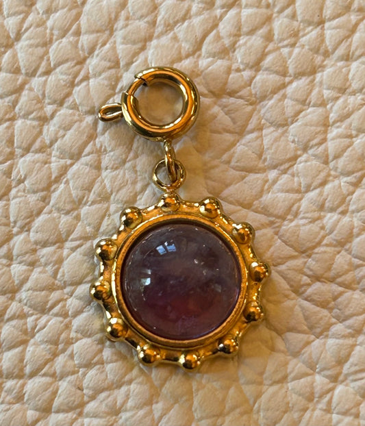 The Purple Dream 💜 | Stellina Charm World