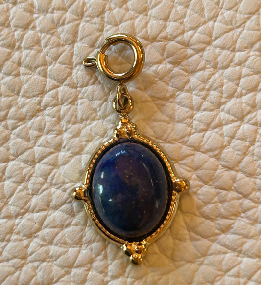 The Blue Mystery 💙 | Stellina Charm World
