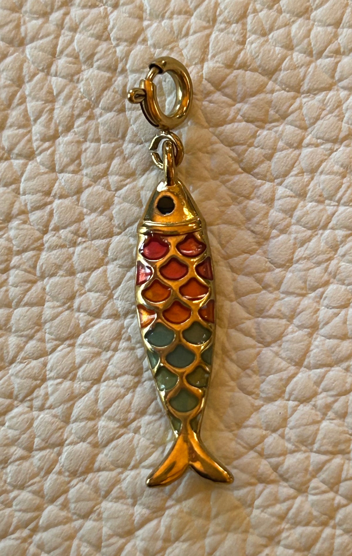 The Fish 🐟 | Stellina Charm World