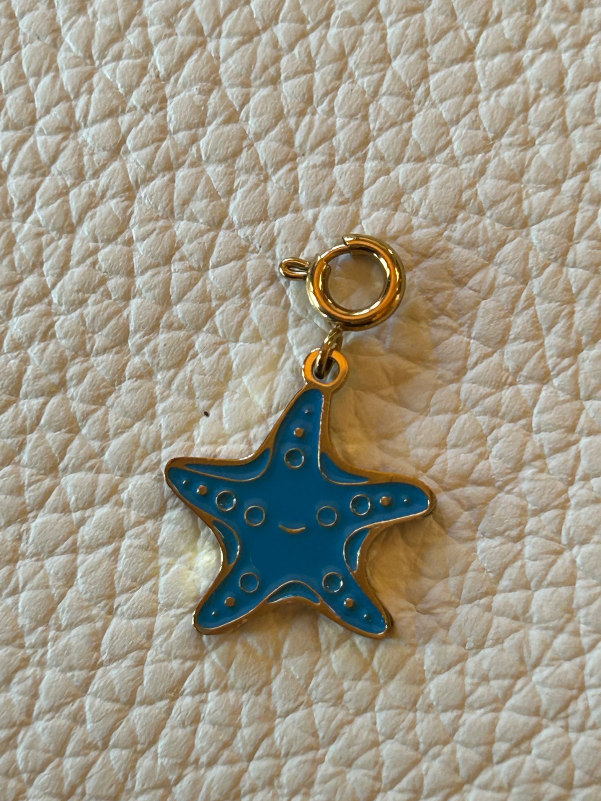 The Starfish ⭐ | Stellina Charm World