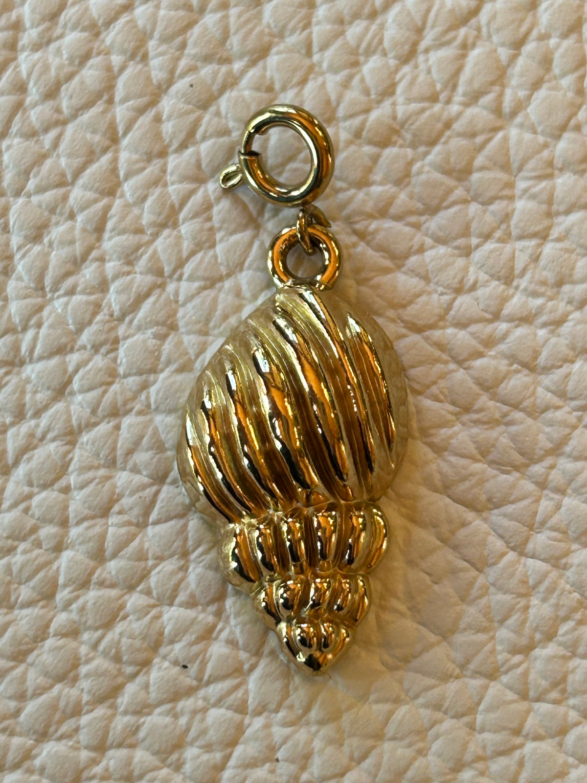 The Little Treasure 🐚 | Stellina Charm World