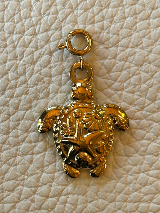 The Turtle 🐢 | Stellina Charm World